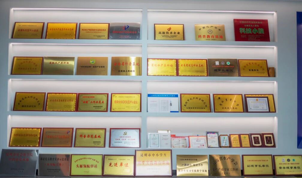 青春榜young | 殷琦丰：6000万！90后毕业生把“土著鱼”做成大生意，打造国家级养殖示范区